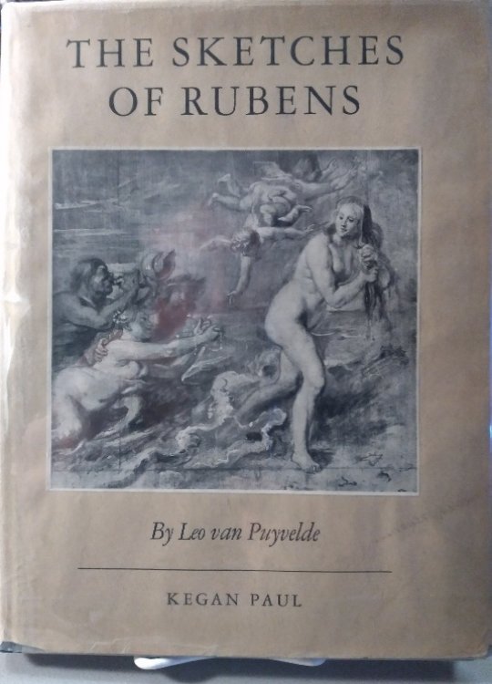 Image for The Sketches of Rubens The Sketches of Rubens