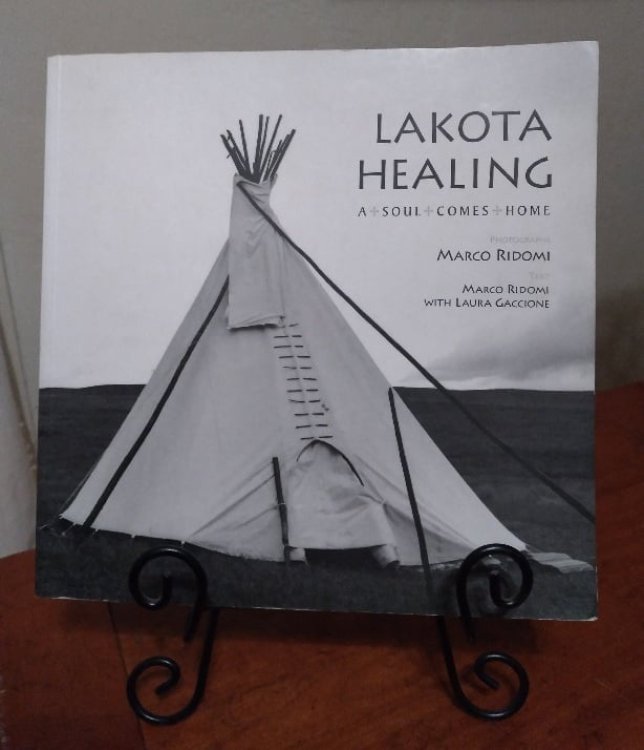 Image for Lakota Healing: A Soul Comes Home Lakota Healing: A Soul Comes Home