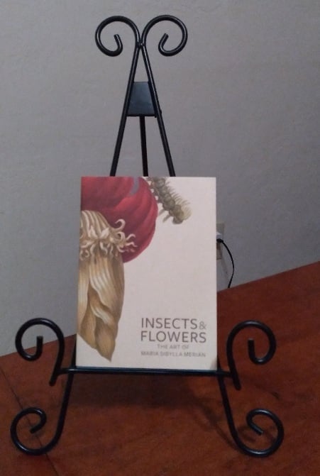 Image for Insects and Flowers: The Art of Maria Sibylla Merian Insects and Flowers: The Art of Maria Sibylla Merian