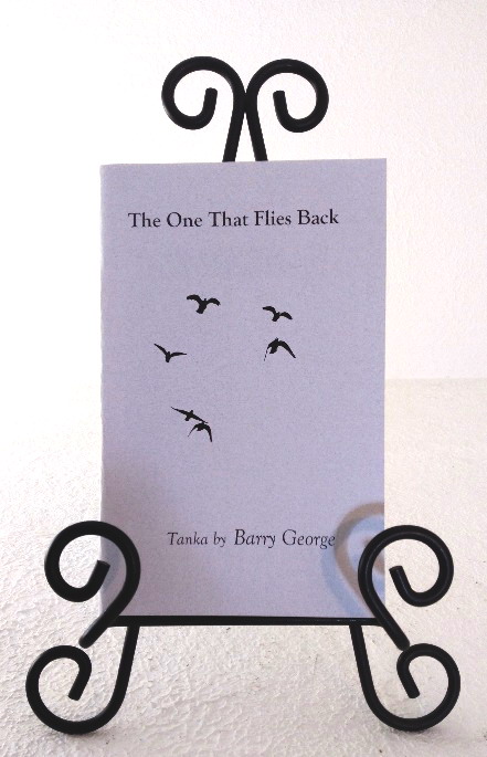 The One That Flies Back
