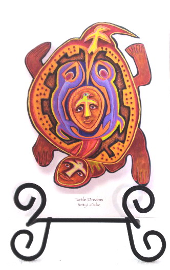 Image for Turtle Dreams Turtle Dreams