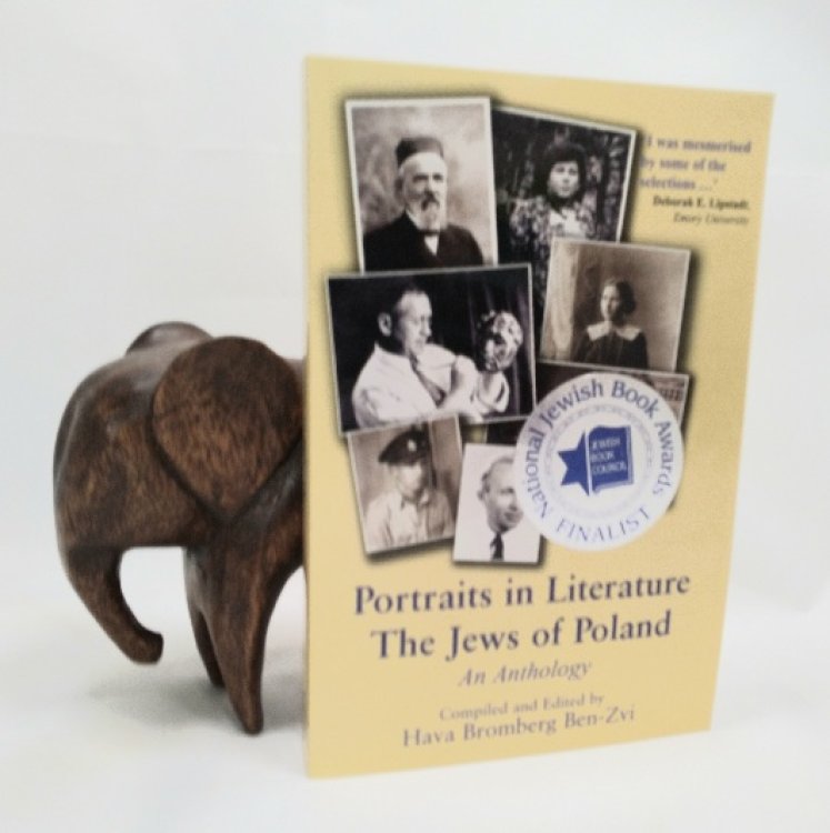 Image for Portraits in Literature The Jews of Poland an Anthology Portraits in Literature The Jews of Poland an Anthology