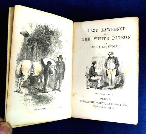 Image for Lazy Lawrence and the White Pigeon Lazy Lawrence and the White Pigeon