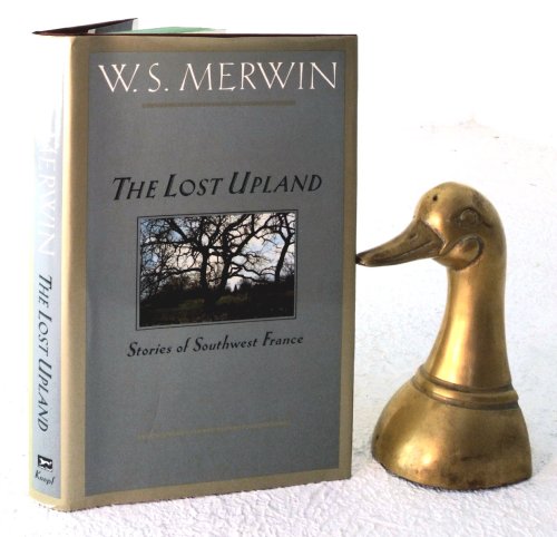 The Lost Upland