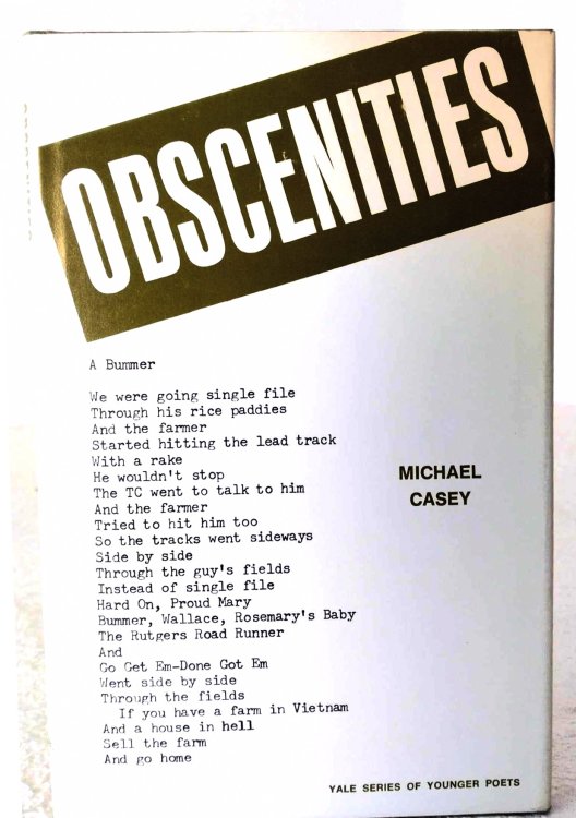 Image for Obscenities: a bummer Obscenities: a bummer