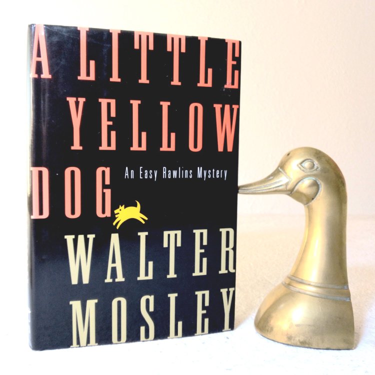A Little Yellow Dog