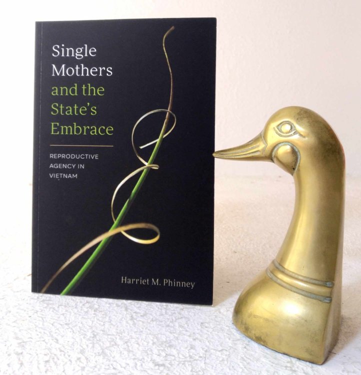 Image for Single Mothers and the State's Embrace: Reproductive Agency in Vietnam Single Mothers and the State's Embrace: Reproductive Agency in Vietnam