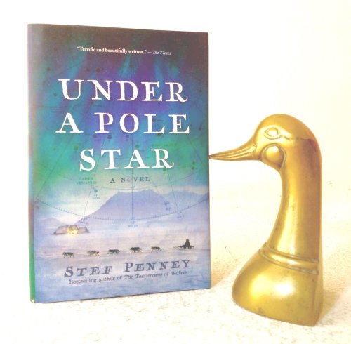 Under a Pole Star