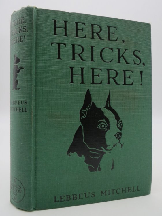 Image for HERE, TRICKS, HERE! HERE, TRICKS, HERE!