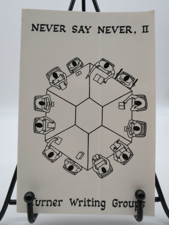 Image for NEVER SAY NEVER II; Fiction, Poetry, Essays, Recollections NEVER SAY NEVER II; Fiction, Poetry, Essays, Recollections