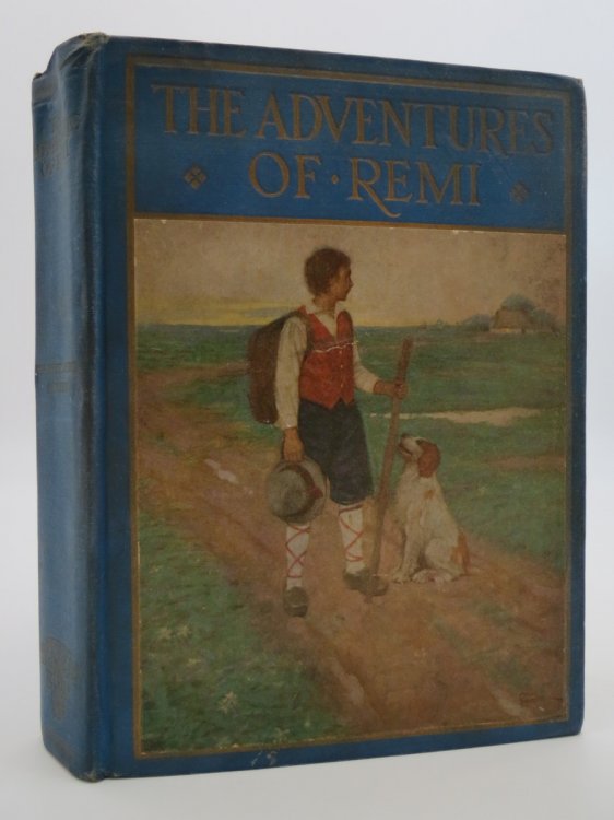 THE ADVENTURES OF REMI