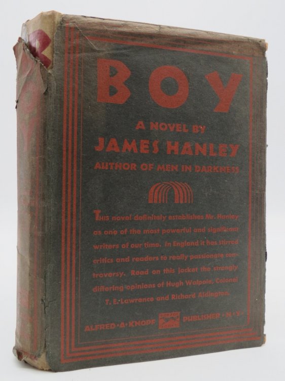BOY; (DJ Protected by a Brand New, Clear, Acid-Free Mylar Cover)