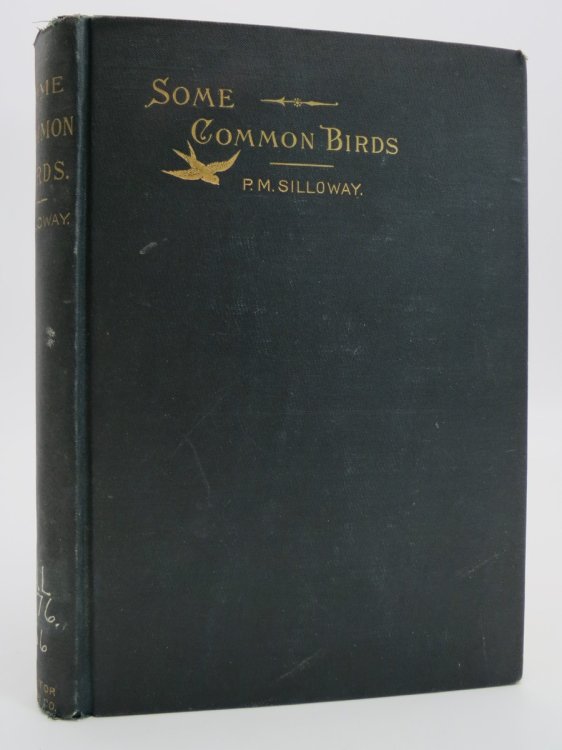Image for SKETCHES OF SOME COMMON BIRDS SKETCHES OF SOME COMMON BIRDS