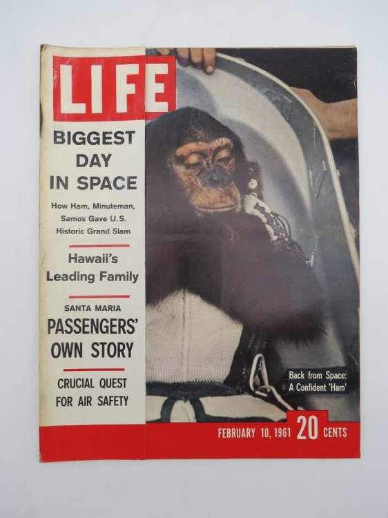 LIFE MAGAZINE, FEBRUARY 10, 1961 (CHIMPANZEE BACK FROM SPACE: A CONFIDENT 'HAM')