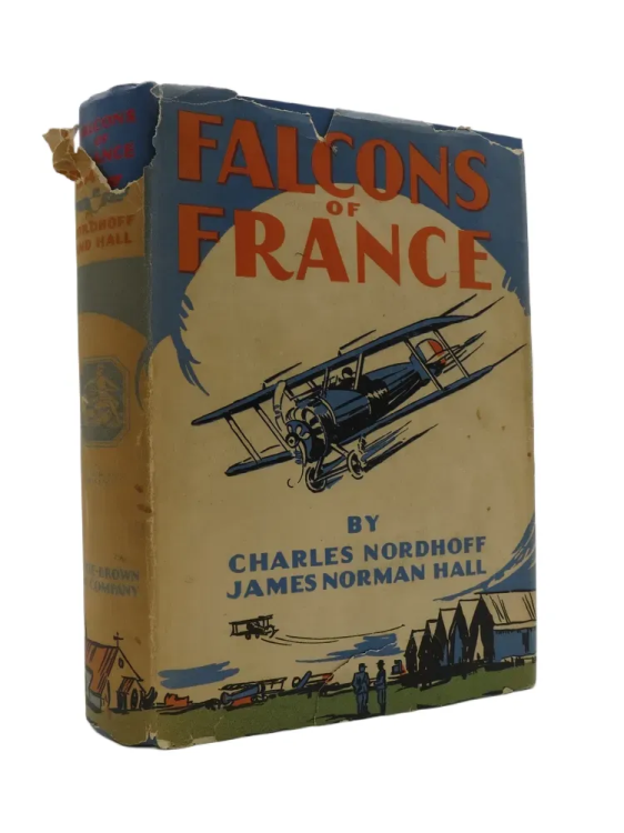 Image for FALCONS OF FRANCE; A Tale of Youth and the Air FALCONS OF FRANCE; A Tale of Youth and the Air