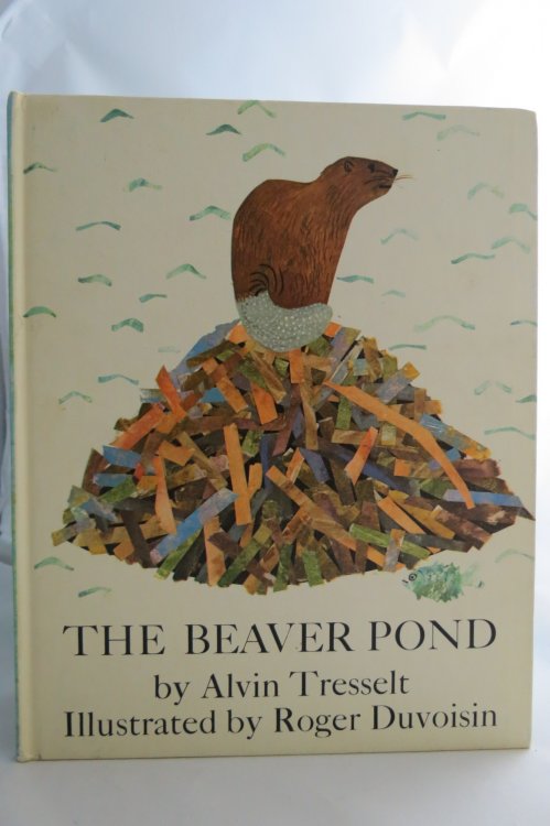 Image for THE BEAVER POND THE BEAVER POND