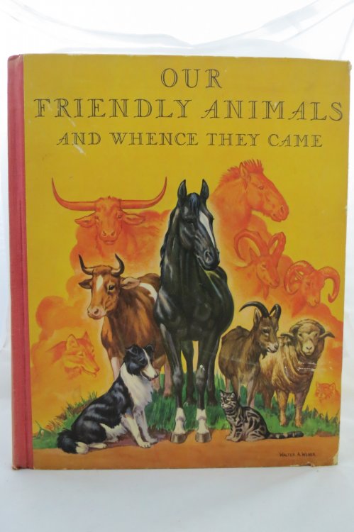 Image for OUR FRIENDLY ANIMALS AND WHENCE THEY CAME OUR FRIENDLY ANIMALS AND WHENCE THEY CAME