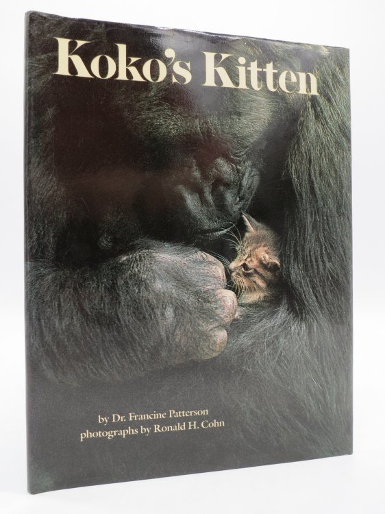 Image for KOKO'S KITTEN (DJ Protected by a Brand New, Clear, Acid-Free Mylar Cover) KOKO'S KITTEN (DJ Protected by a Brand New, Clear, Acid-Free Mylar Cover)