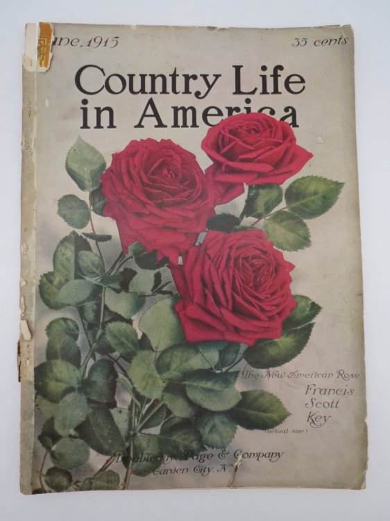 COUNTRY LIFE IN AMERICA MAGAZINE, JUNE 1915 (THE NEW AMERICAN ROSE BY FRANCIS SCOTT KEY)