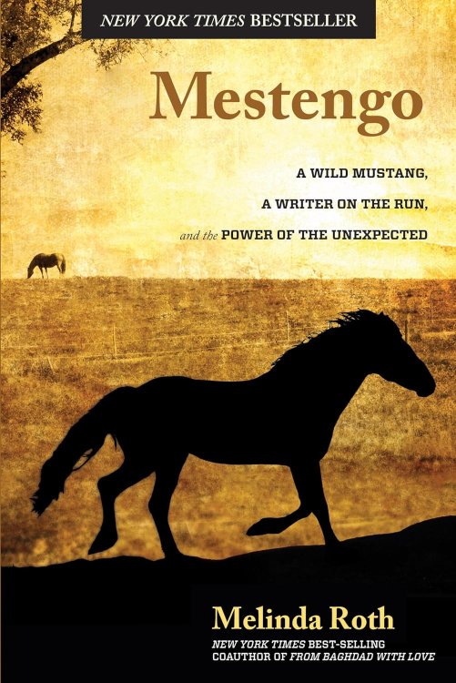 Mestengo: A Wild Mustang