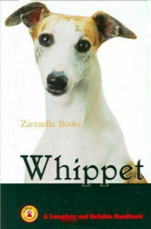 Whippet
