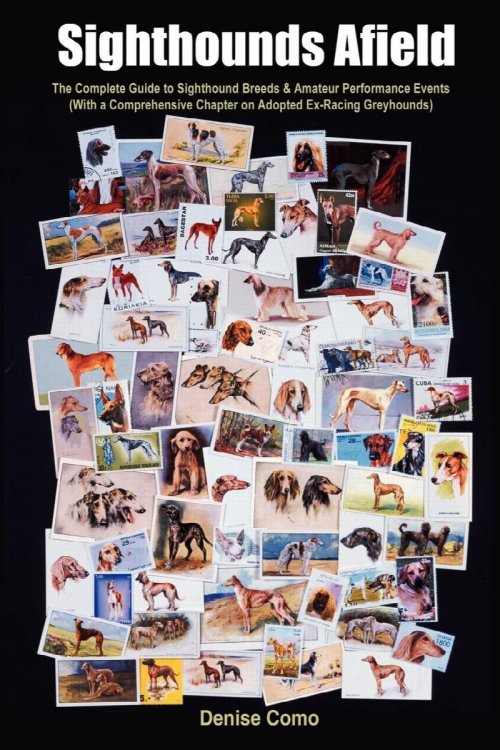 Sighthounds Afield
