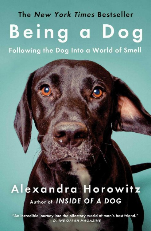 Being a Dog: Following The Dog Into a World Of Smell