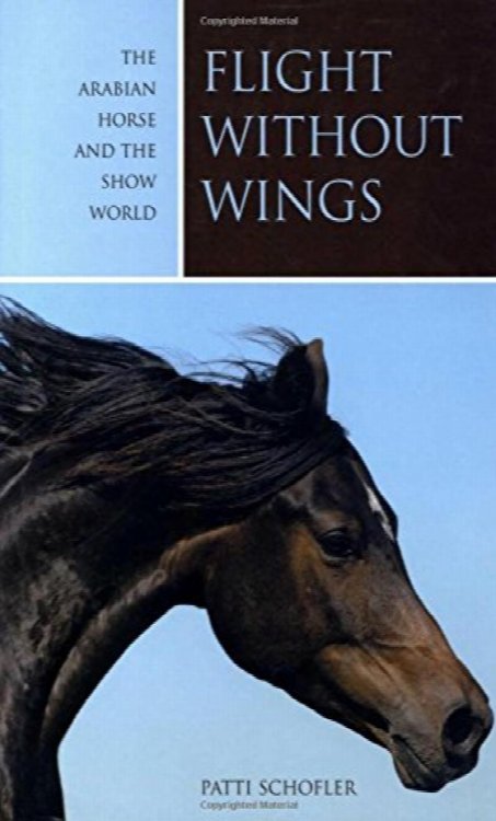 Flight without Wings: The Arabian Horse And The Show World