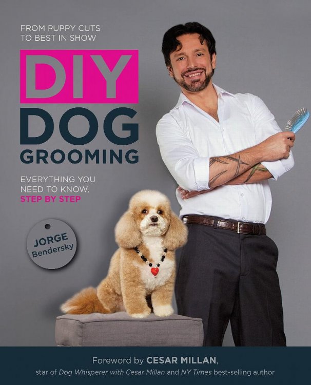 DIY Dog Grooming: From Puppy Cuts to Best in Show