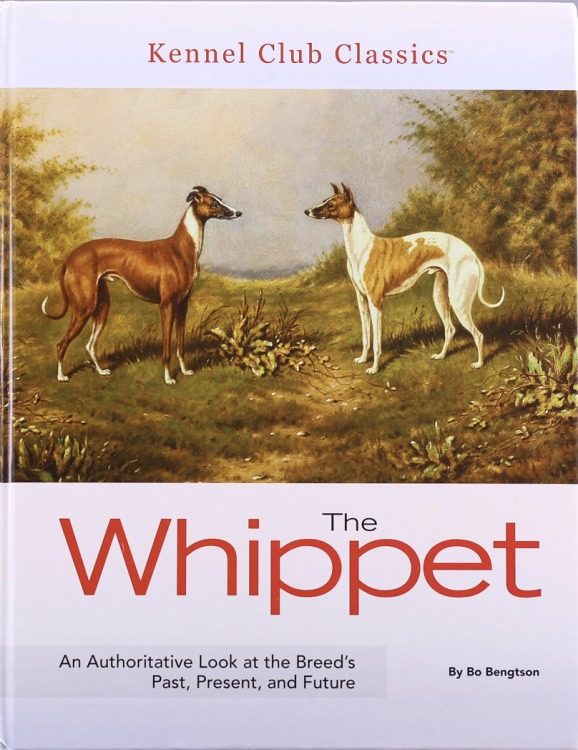 The Whippet: An Authoritative Look at the Breed's Past, Present and Future.