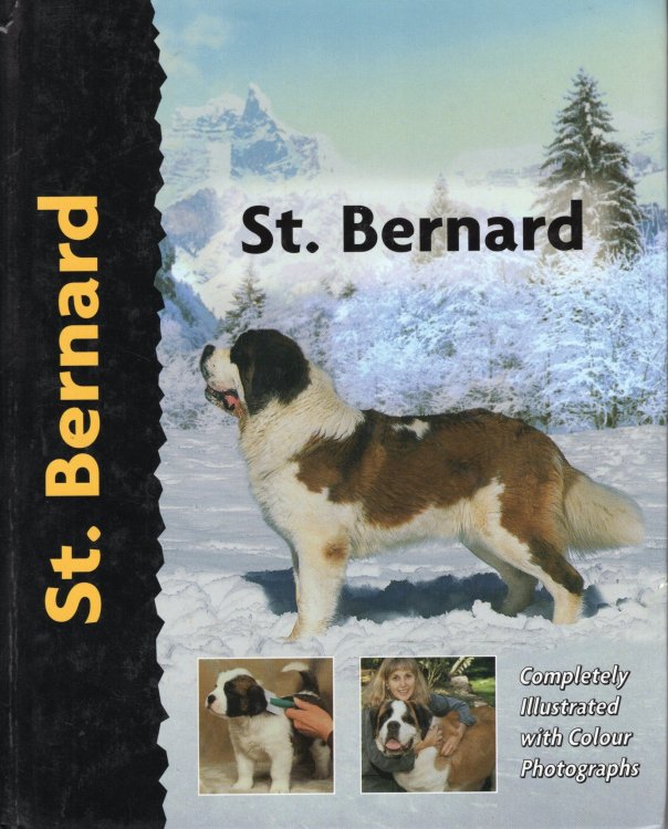 St. Bernard