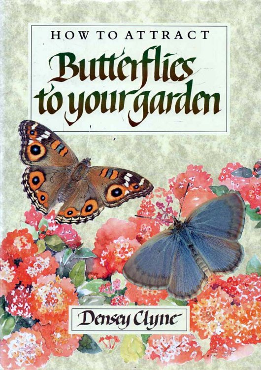 Image for How to Attract Butterflies to Your Garden - signed How to Attract Butterflies to Your Garden - signed