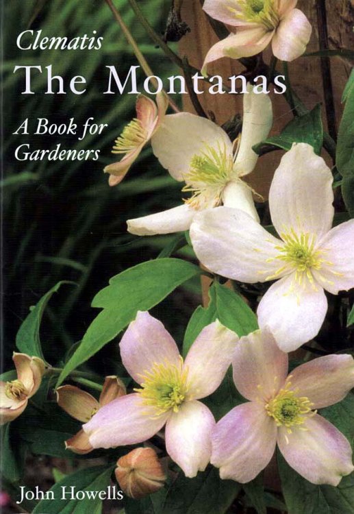 Image for Clematis - The Montanas A Book for Gardeners Clematis - The Montanas A Book for Gardeners