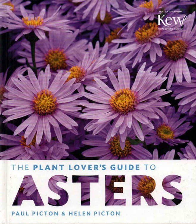 Image for The Plant Lover's Guide to Asters in Association with Kew Royal Botanical Gardens The Plant Lover's Guide to Asters in Association with Kew Royal Botanical Gardens