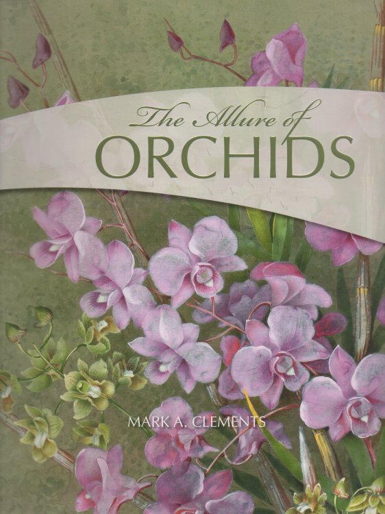 Image for The Allure of Orchids The Allure of Orchids
