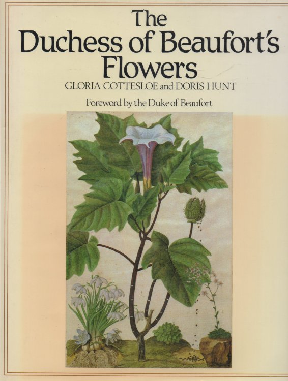 Image for The Duchess of Beaufort's Flowers The Duchess of Beaufort's Flowers