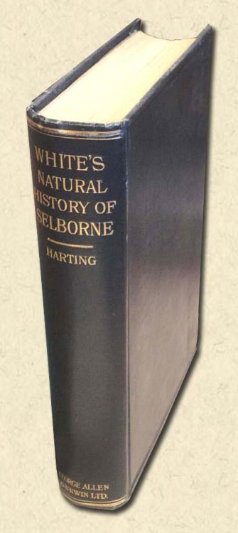 Image for The Natural History and Antiquities of Selborne in the County of Southampton - Stereotyped edition The Natural History and Antiquities of Selborne in the County of Southampton - Stereotyped edition