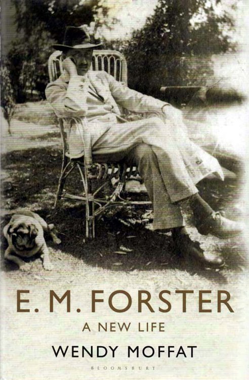 Image for E.M. Forster A New Life E.M. Forster A New Life