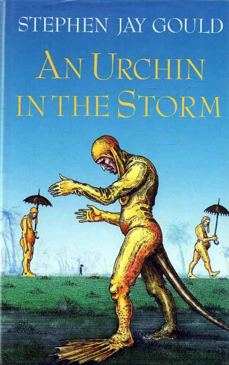 Image for An Urchin in the Storm Essays about Books and Ideas An Urchin in the Storm Essays about Books and Ideas