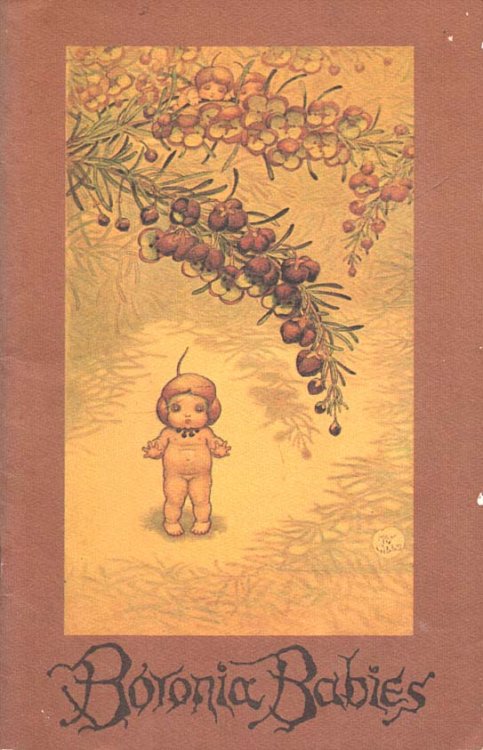 Image for Boronia Babies Boronia Babies
