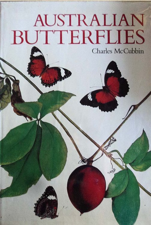 Image for Australian Butterflies Australian Butterflies