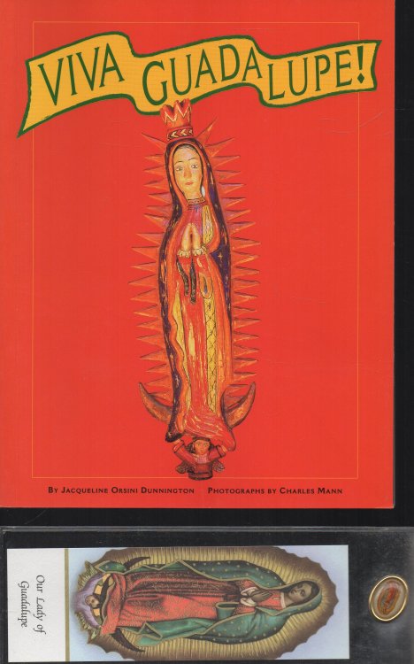 Image for Viva Guadalupe! The Virgin in New Mexican Popular Art Viva Guadalupe! The Virgin in New Mexican Popular Art