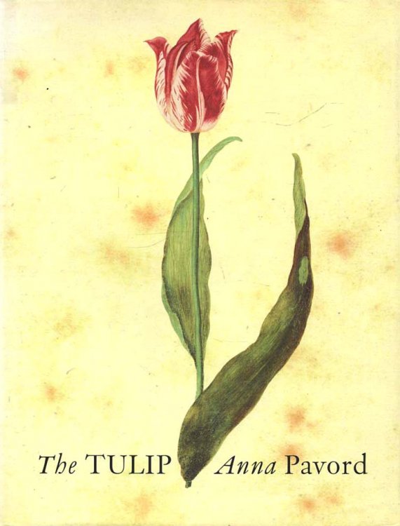 Image for The Tulip The Tulip