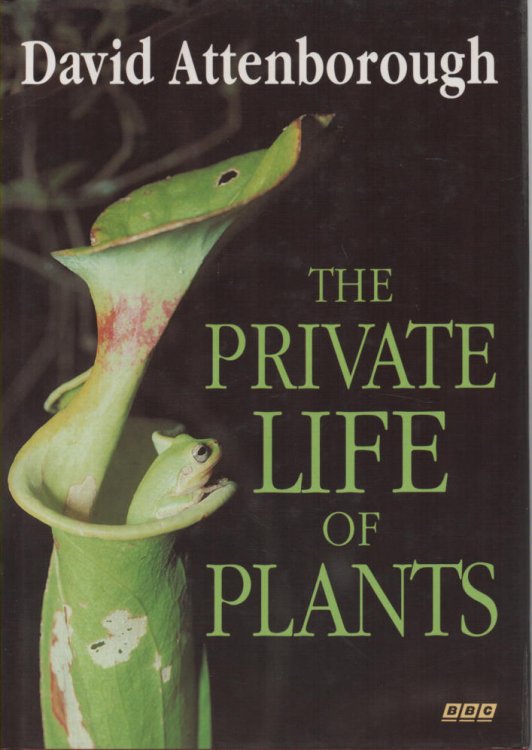 Image for The Private Life of Plants A natural history of plant behaviour The Private Life of Plants A natural history of plant behaviour