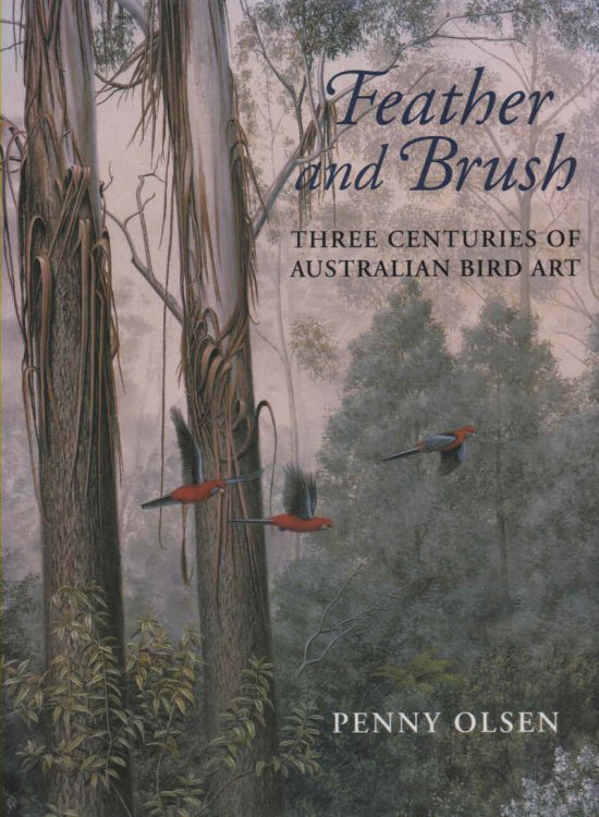 Image for Feather and Brush Feather and Brush