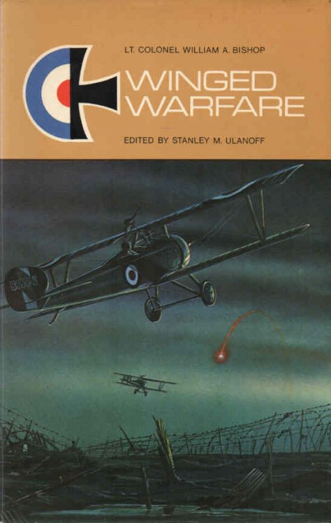 Image for Winged Warfare Winged Warfare