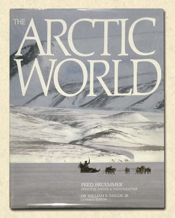 Image for The Arctic World The Arctic World