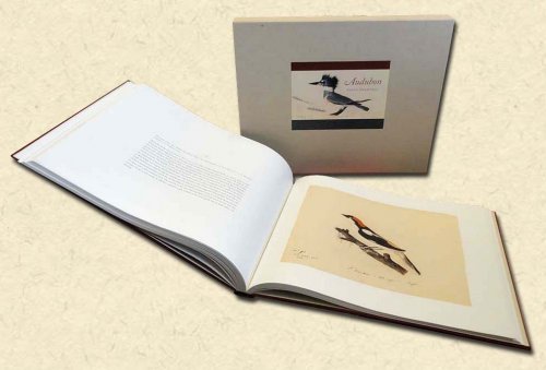 Image for Audubon Early Drawings Audubon Early Drawings