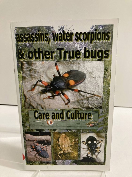 Assassins, Water Scorpions & Other True Bugs Care and Culture