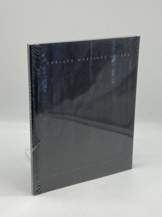 Image for Enrique Martnez Celaya The October Cycle, 2000--2002 Enrique Martnez Celaya The October Cycle, 2000--2002